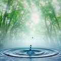 Water drop into water with light green forest background